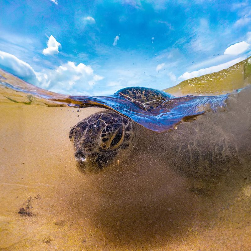 DIVEVOLK Dome Lens for SeaTouch 4 Max Underwater housing - Image 2